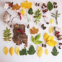 Осеннее вдохновение. . 30 способов полюбить осень
