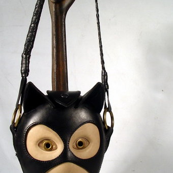 Catwoman handbag.