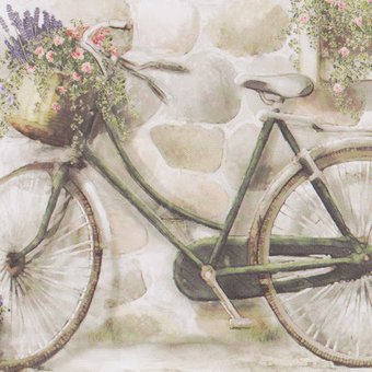 "Country - Bicycle" от Flower Soft