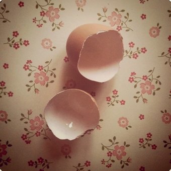 Eggs. . . .