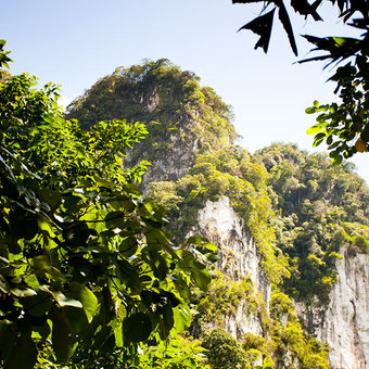 Экскурсия в заповедник Khao Sok (Као Сок). Часть 3