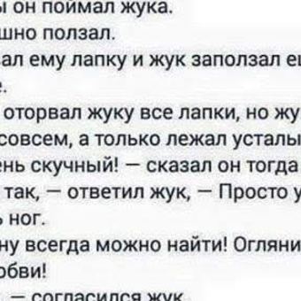 Это чувство, когда безвестный жук сказал всё за тебя