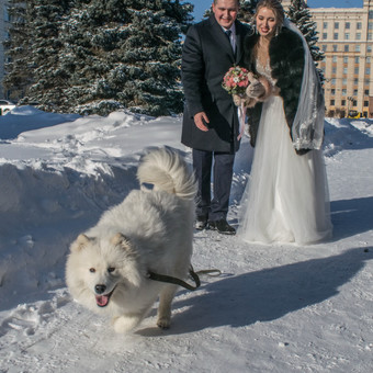 Фотограф анималист