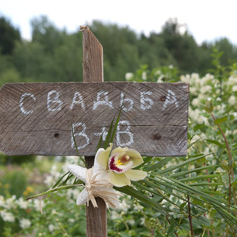 Карибская свадьба в Подмосковье