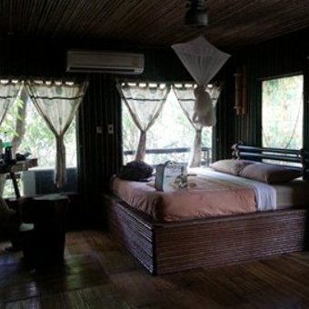 Khao Sok Tree House Resort - thailand