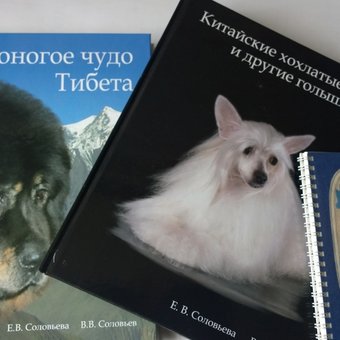 Книга лучший подарок. Любите книгу - источник знаний :)