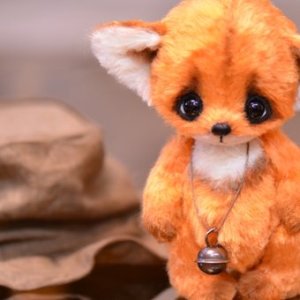 Little fox Findi