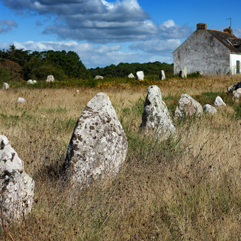 Лучшие кадры 2025 / The Best Shots of 2025