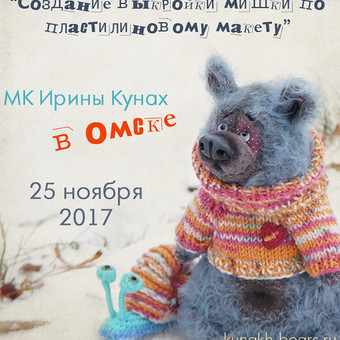 МК в Омске, 25 ноября 2017.