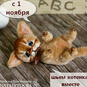 Новый Мастер-класс по котенку