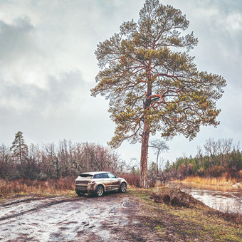 Пара слово про Range Rover