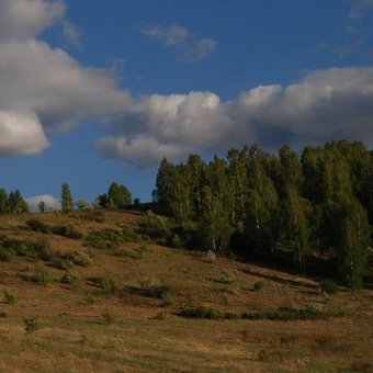 Про конец света