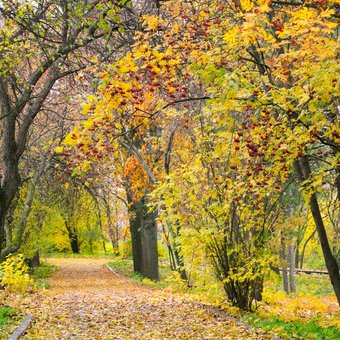 Рецепт отличной прогулки