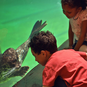 Sao Paulo Aquarium