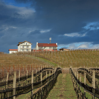Сельский вестник: погодные аномалии в нашей деревне