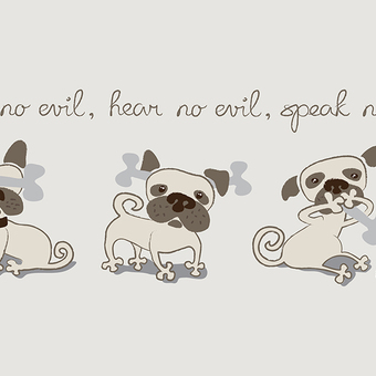 Three Wise Pugs