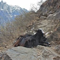 20 апреля - первый день трека в горах