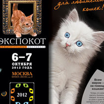 6-7 октября мы на кошачьей выставке Экспокот в крокус-экспо