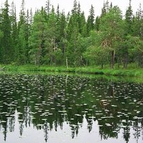 Национальный парк «Онежское Поморье» учрежден в Архангельской области