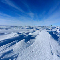 Найдены обломки пропавшего в Антарктиде самолета