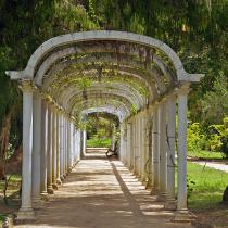 Ботанический сад Рио-де-Жанейро - Jardim Botânico do Rio de Janeiro