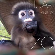 ЦЕНТР СЕЛЕКЦИИ ДИКИХ ЖИВОТНЫХ ИЛИ ZOO В ХУА-ХИН.