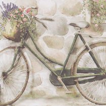 "Country - Bicycle" от Flower Soft