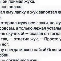 Это чувство, когда безвестный жук сказал всё за тебя