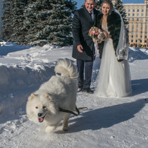 Фотограф анималист