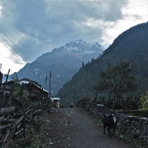 Гималайский трек_День 4: Chame (2760 м) - Humde (3330 м), 26 км