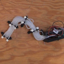 Инженеры разработали пневматического робота-змею