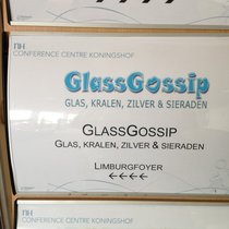 Как мы ездили на GlassGossip