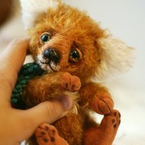Лисенок Вуди / Woody - fox pup