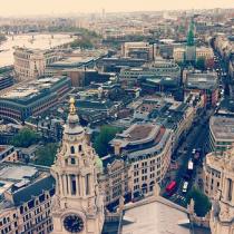 Лягушка-путешественница: отпуск в Лондоне