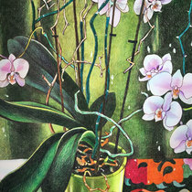 Обиженная орхидея.