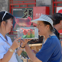 Птичий рынок в Пекине