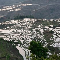 Рисовые террасы Юаньян