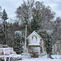 Сельский вестник: наши деревни в январе