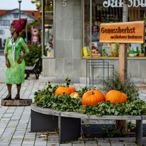 Сельский вестник: осень в нашей деревне