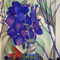 Синяя орхидея.