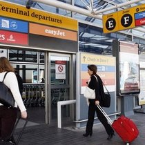 В лондонском аэропорту конфисковали 94 килограмма сушеных гусениц