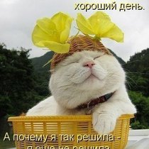Весна?))