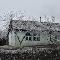 Яблоня. Времена года. Май. Сентябрь. Ноябрь.