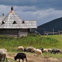 Закарпатье. Июль 2012. Поход. День первый.