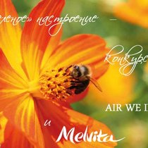 Зеленое настроение от Air We Inspire и Melvita