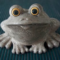 жаба Светочка