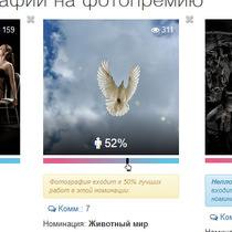 Желающим критики к фото – сюда, сайт 35photo. ru проводит конкурс!