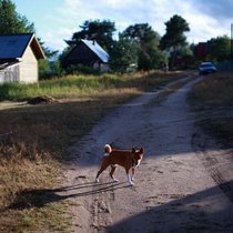 Зверские каникулы.