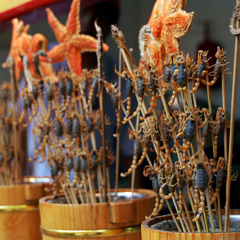 Wangfujing Snack Street (王府井小吃街), Beijing