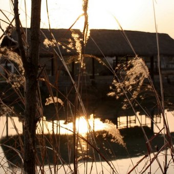 Wuzhen